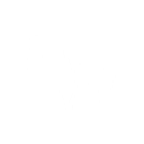Mint Nicotine Pouches