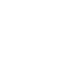 Spearmint