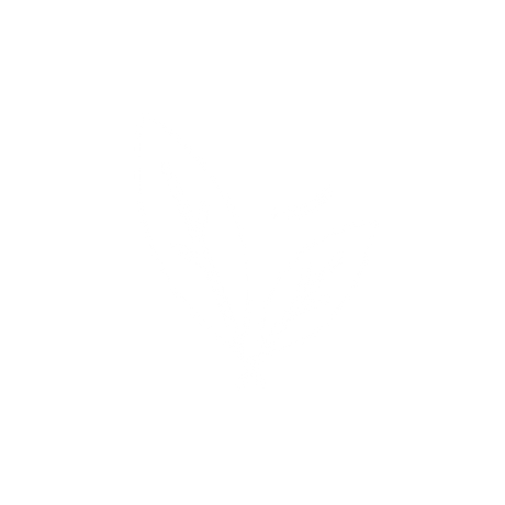 Spearmint Nicotine Pouches