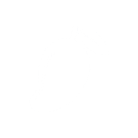 Tropical Fruit Nicotine Pouches